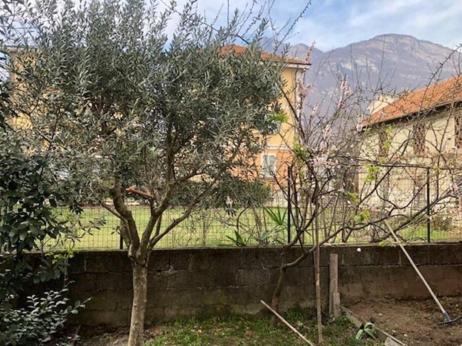 Giuditta Freecarpark&Garden Domodossola Exterior photo