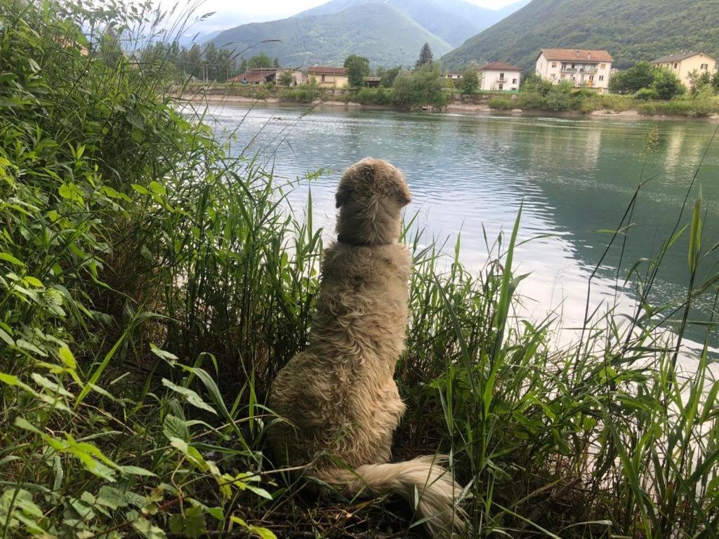 Giuditta Freecarpark&Garden Domodossola Exterior photo